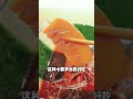 絕對不容緩!滿分壽司店大發現，太好吃了#探店 #美食 #阿鸡AJ