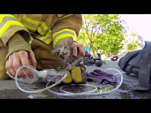 GoPro: Fireman Saves Kitten