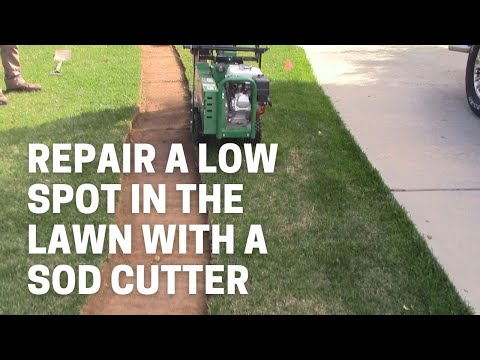 How To Use A Sod Cutter From Home Depot
