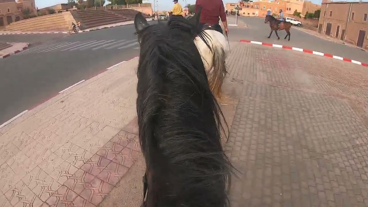 kasbah taourirt ouarzazate Morocco 🐴🐎