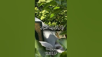 التدبر في آيات القرآن #تلاوة_تبث_الطمأنينة🌿#آيات_تلامس_القلوب🌿 #JamalInspire🌿#إلهام_القرآن_مع_جمال🌿