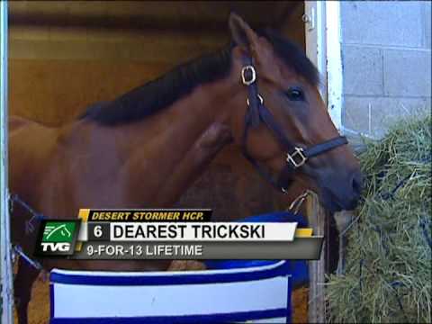 What Every horse racing Need To Know About Facebook