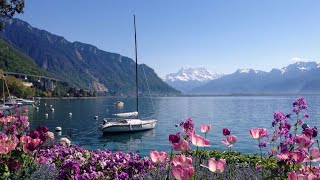 Montreux Magic - Lakeside Luxury & Swiss Serenity
