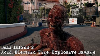 Dead Island 2 - Acid, Electric, Fire, Explosive Damage