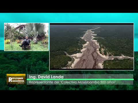 EL BOSQUE TROPICAL AMAZÓNICO DESAPARECERÁ