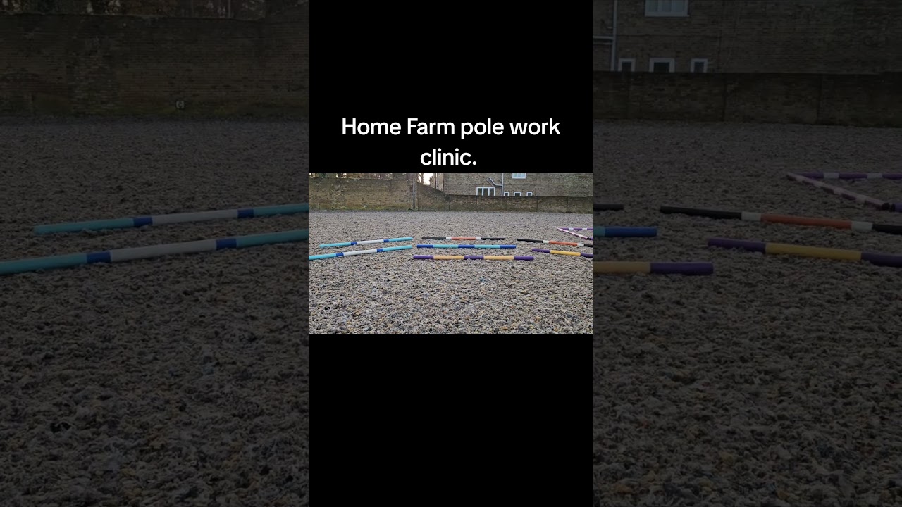 One of our pole work designs at a yard clinic we done in Essex.