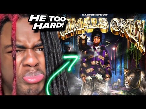 HE JUST SPAZZED!!! BabyChiefDoit - ANIMALS ONLY MIXTAPE REACTION - YouTube