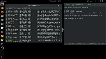 How to uninstall program package on Ubuntu Linux