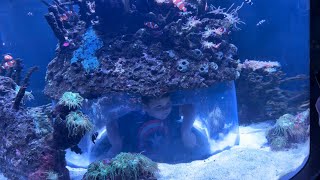 Wonders of Wildlife Aquarium VLOG