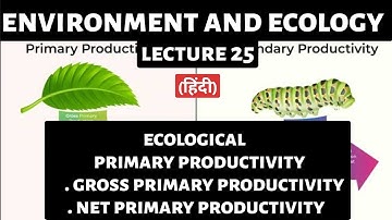 Productivity in Ecology | Complete Guide for UPSC Preparation | Environment & Ecology Explained