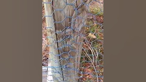 Bob the Fencer - Rabbit fence tricks of the trade.