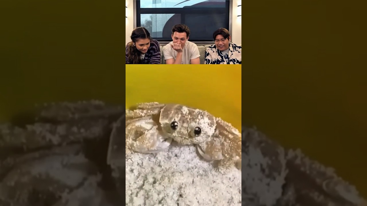 Tom Holland React Viral Videos part 21 