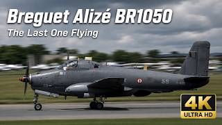 Breguet Alizé BR1050 . The Last One Flying