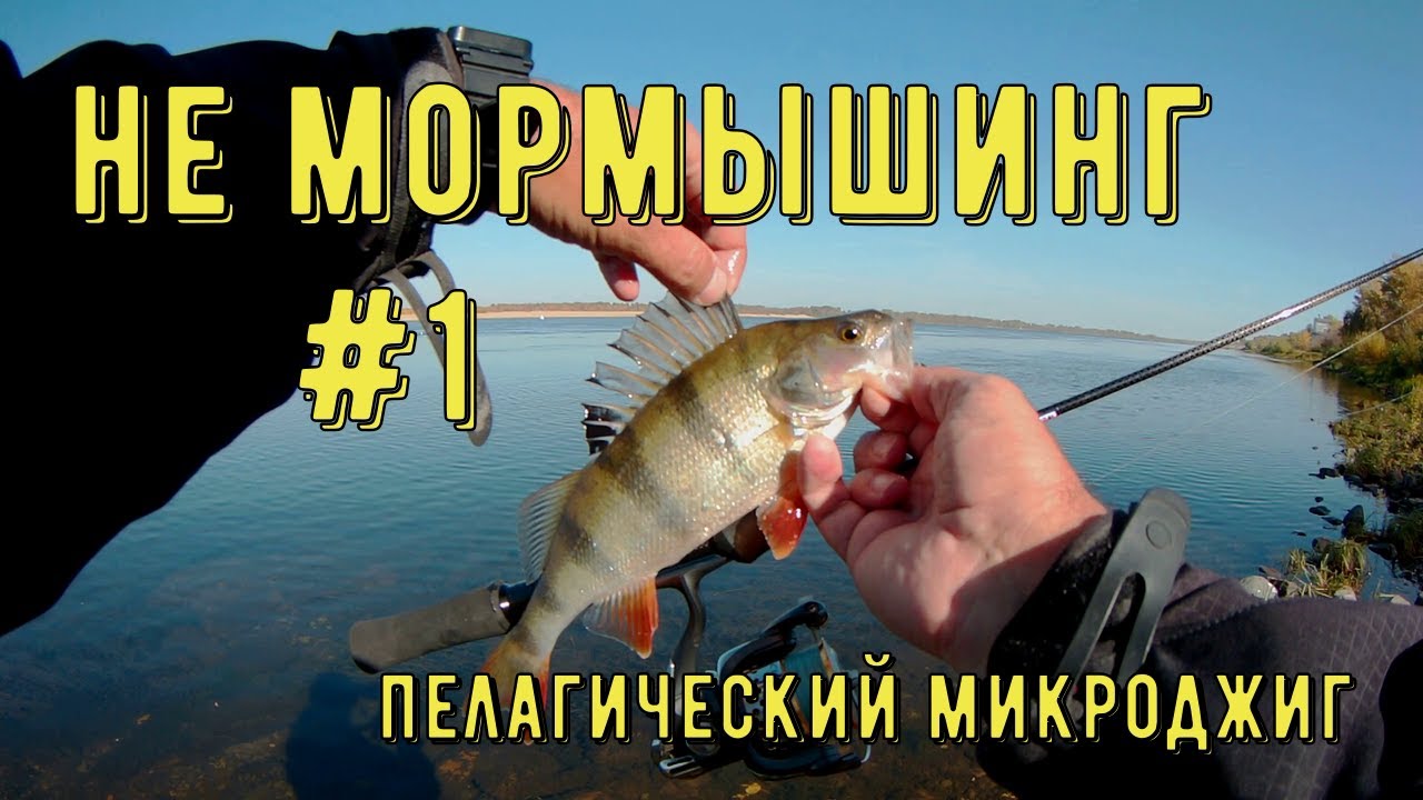 Тур на волгу рыбалка