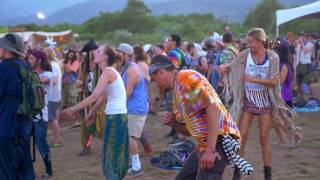 Sonic Bloom 2016 Recap
