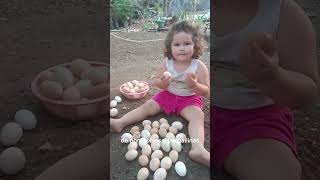 recogiendo huevos #famila #niñosgraciosos #babygirl  #granja #huevos #diversionfamiliar #viralvideo