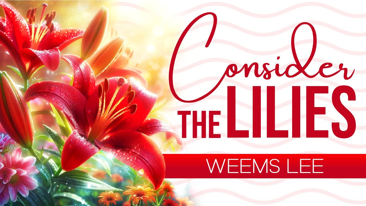 Consider the lilies in original song style hymn lyrics weems lee