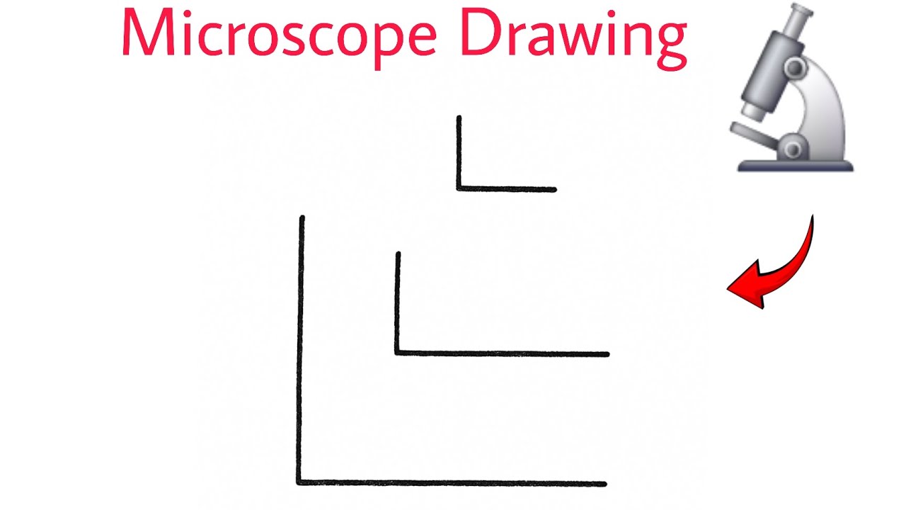 How to draw microscope | microscope drawing | microscope diagram ...