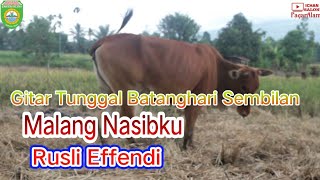 ''MALANG NASIBKU''  RUSLI EFFENDI /  GITAR TUNGGAL  BATANGHARI SEMBILAN MUSI RAWAS SUMATERA SELATAN