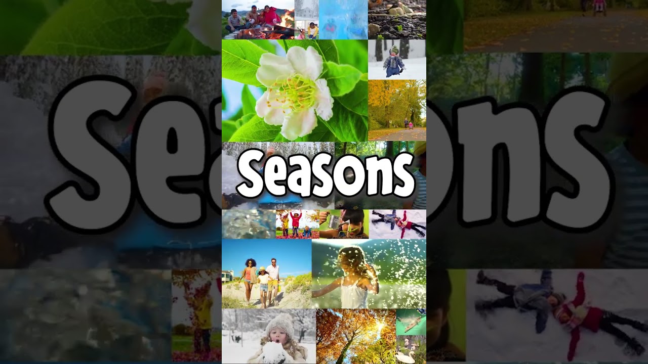 Introduction to All About the Seasons | Learn Spring, Summer, Fall, and Winter for Kids!