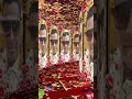 Editing vedio