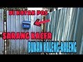 KACER/KOCI/GOCI  LIAR BERSARANG DI KOTAK POS