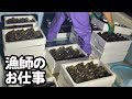 [漁師]出荷作業から仕事終わりまでの様子！