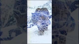 Small country but Big secrets ।। #country #Nepal #everest