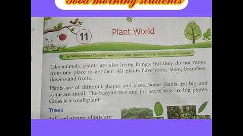 Class- 2(Evs) ch-11(Plant🌱 World) Part-1