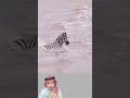 اطمئن فالله لا ي سقطك ليحطمك بل لي سقط عنك ما يثقلك ويحميك مما يهددك   