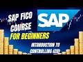 SAP CO Controlling | Introduction to Controlling
