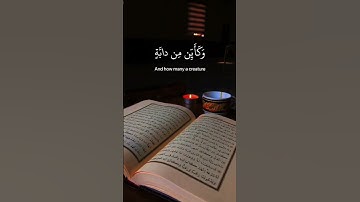 #تلاوة_خاشعة آيات من كتاب الله راحة لقلبك وسمعك #اكسبلور #دويتو #القرآن_الكريم #الرحمن #الثامن