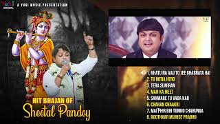 Hit Shyam Bhajans Of Sheetal Pandey | Khatu Na Aau To Jee Ghabrata Hai | Charan Chaakri|Tu Mera Hero