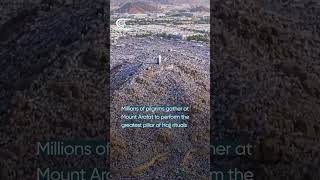 Millions of pilgrims gather at Mount Arafat to perform the greatest pillar of Hajj rituals