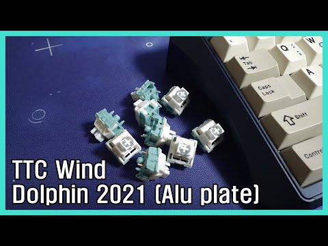 Dolphin 2021 TTC Wind / 돌고래 2021 TTC Wind 스위치