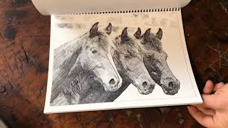 Farm Coloring Book