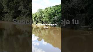Bonpland Misiones