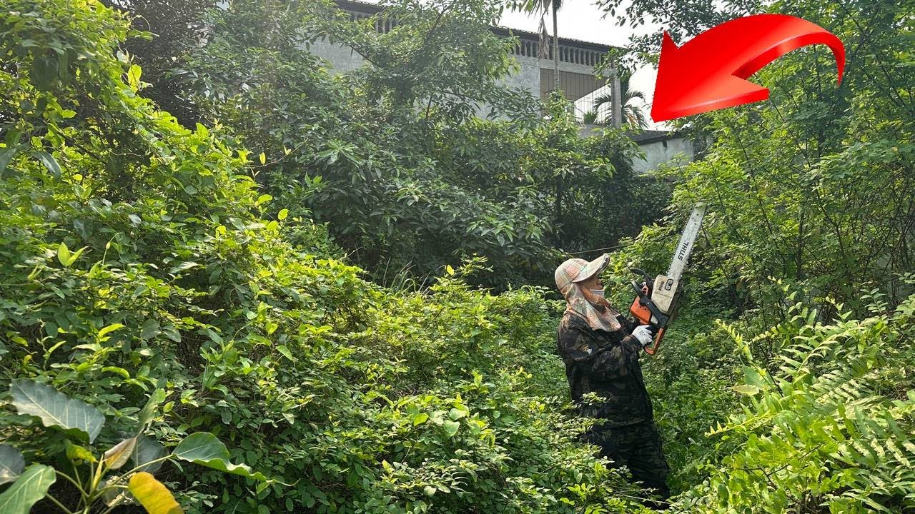 Очистить Заброшенный Дом Полная трансформация Вырезать Заросшую траву Убрать в саду Расслабить Мозг