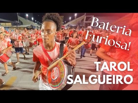 Salgueiro tarol.