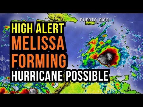 High Alert for a Hurricane...