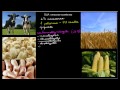 487  США сельское хозяйство