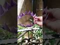 making of a crown 👑 #funnyreel #easydrawing #walkinspiritoftheholyspirit #viral #shortvideo #king