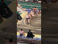 輝の里！2026年大相撲5月場所