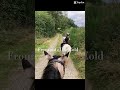 Reitet ihr auch , schreibt’s in die Kommentare #horse #love #home