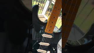 Fender Custom Shop David Gilmour Strat