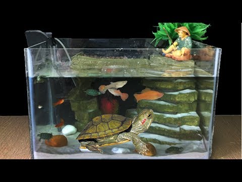kuinka tehdään akvaario kalastaa kilpikonna - MR DECOR #45