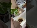 POV : Your a coffe lover . #aesthetic #minivlog #youtubeshorts #morningroutine
