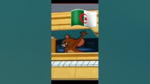 الجزائر قبل وفرنسا قبل