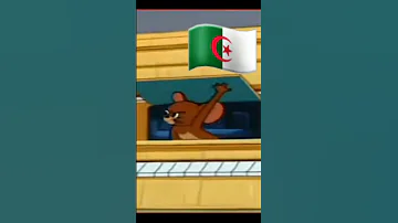 الجزائر قبل وفرنسا قبل 