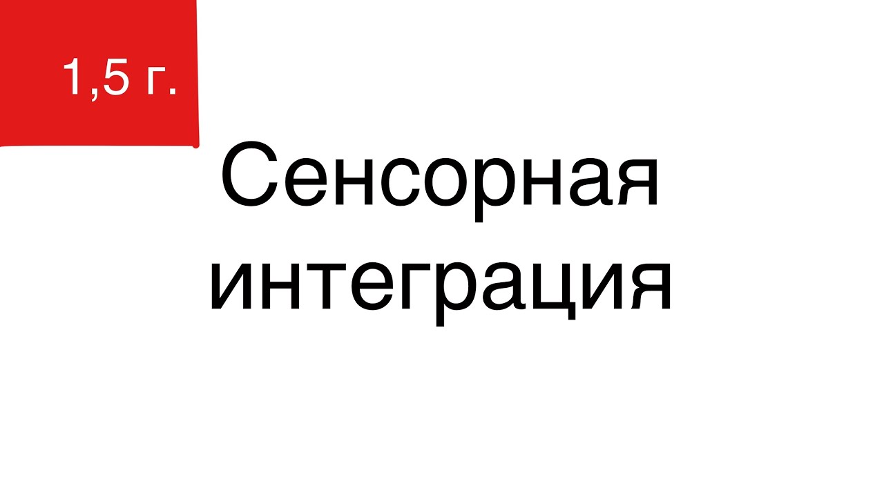 СЕНСОРНАЯ ИНТЕГРАЦИЯ - YouTube